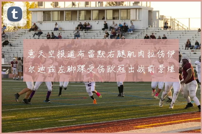 意天空报道布雷默右腿肌肉拉伤伊尔迪兹左脚踝受伤欧冠出战前景堪忧